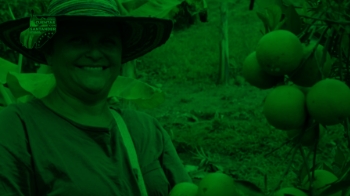 PROVINCIA SOTO NORTE